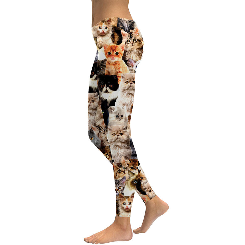 Slimming Women's Trousers - Trendy Women's Leggings - Shop Swazeyfit