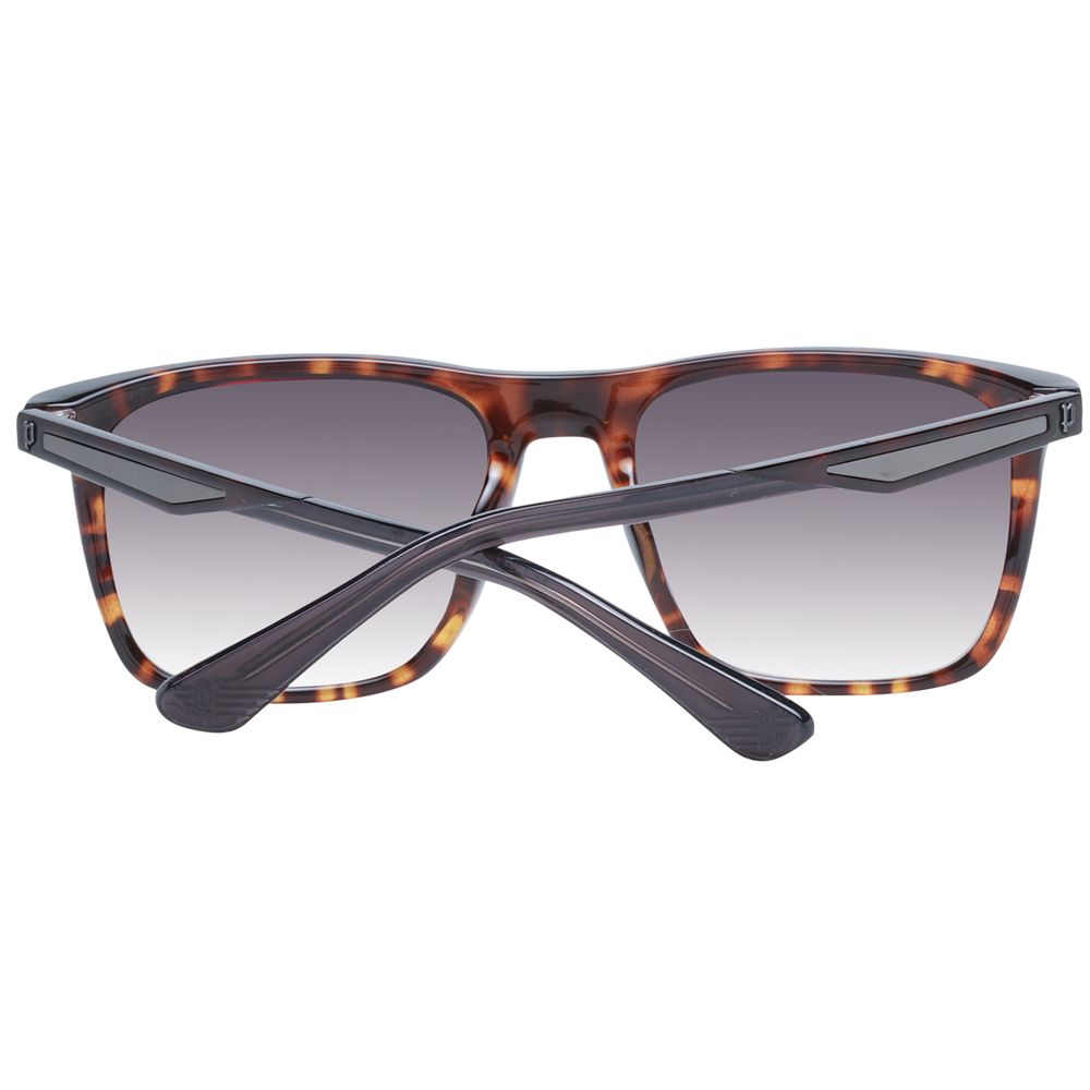 Police Brown Men Sunglasses